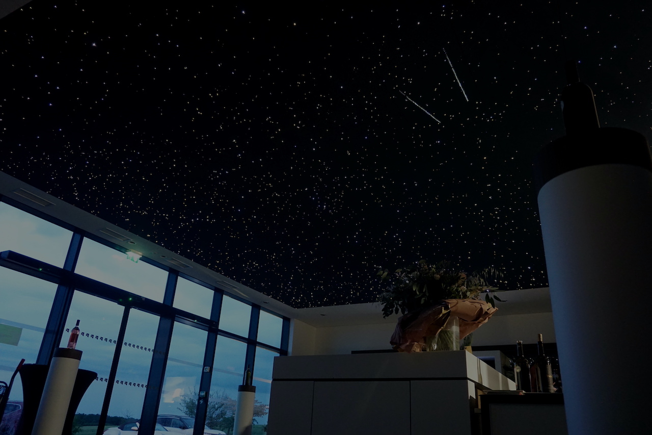 Star ceiling light fiber optic shop wine celler night sky